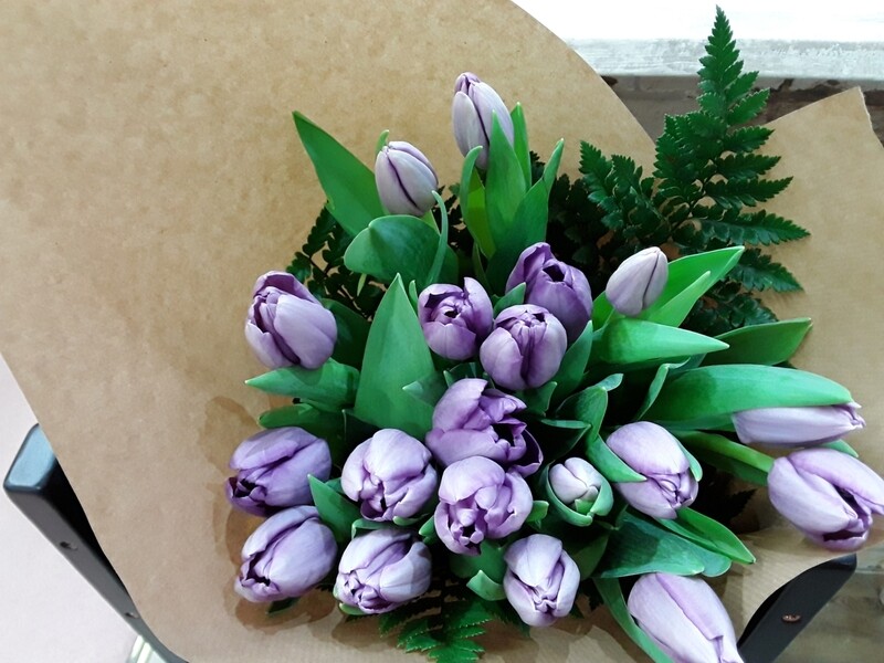 tulipanes