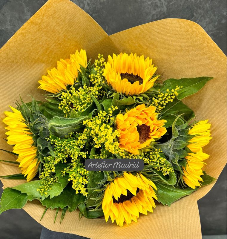 8 girasoles y solidago hitalia