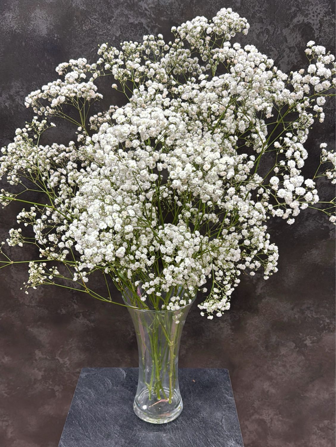 Paniculata 2,50 el tallo