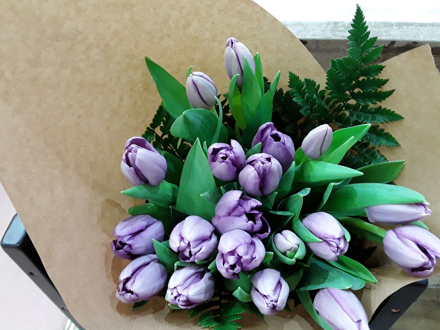 Tulipanes morados Holanda, envio a domicilio 