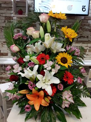 Centros de flores mundo de  colores