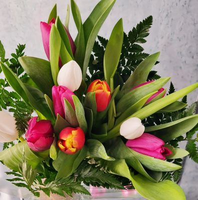 Tulipanes Variados 10 unidades,  colores pueden variar según disponibilidad