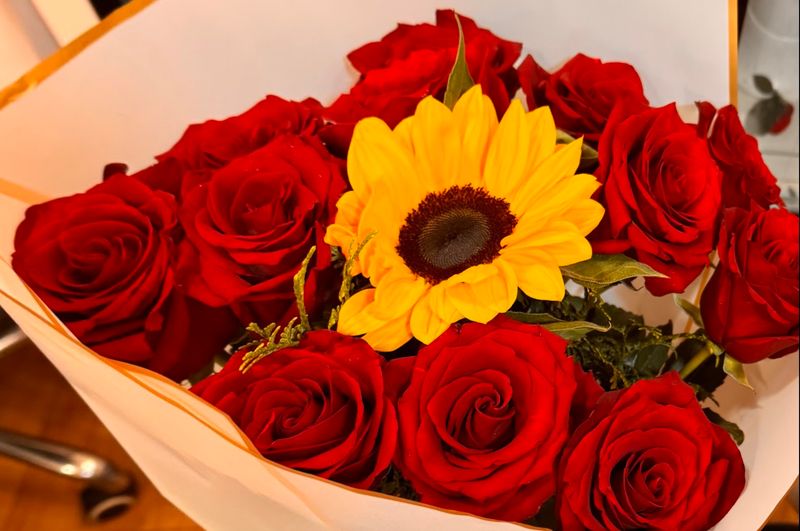 12 Rosas rojas y un girasol
