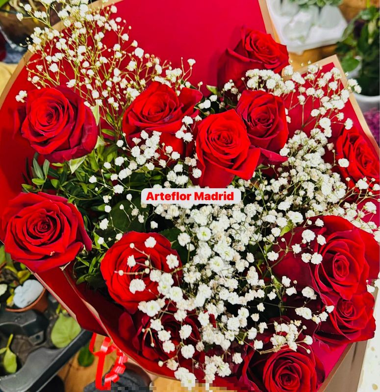 12 Rosas rojas y Paniculata con envoltorio especial