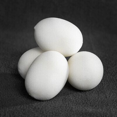 Sponge Eier Premium (Alan Wong) - 4 Stck. 
