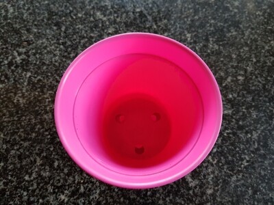 African Violet 10cm Pot Set Pink