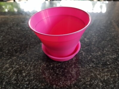 African Violet 10cm Pot Set Pink