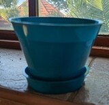 African Violet 10cm Pot Set Blue