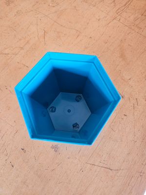 African Violet 8cm Hexagon Pot Set Turqoise