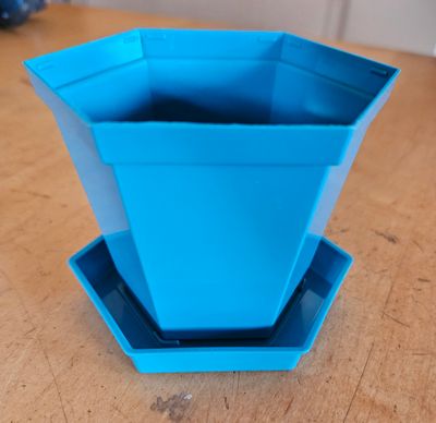 African Violet 8cm Hexagon Pot Set Turqoise