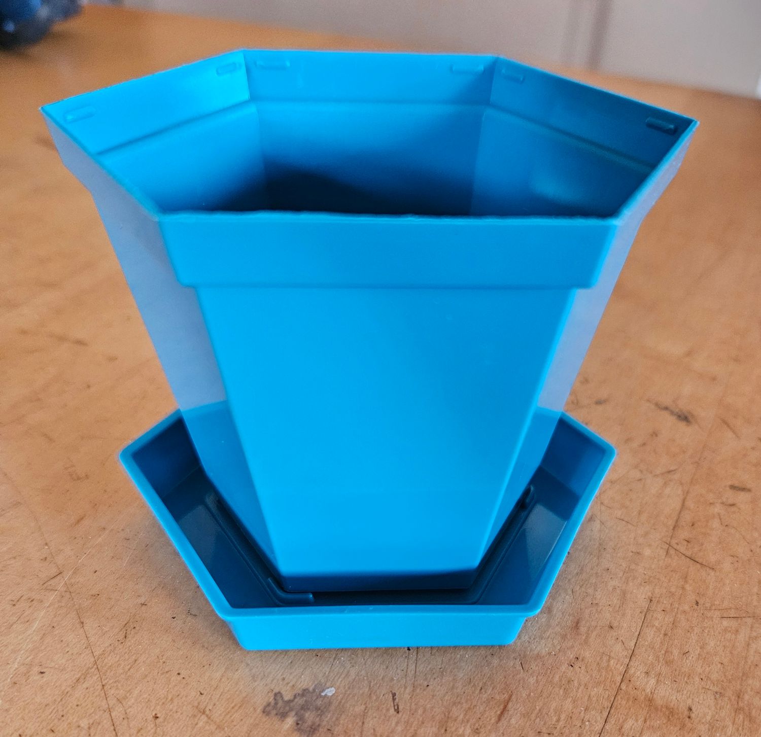 African Violet 8cm Hexagon Pot Set Turqoise