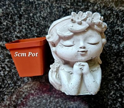 Poppy Head Planter (Small Plant)
