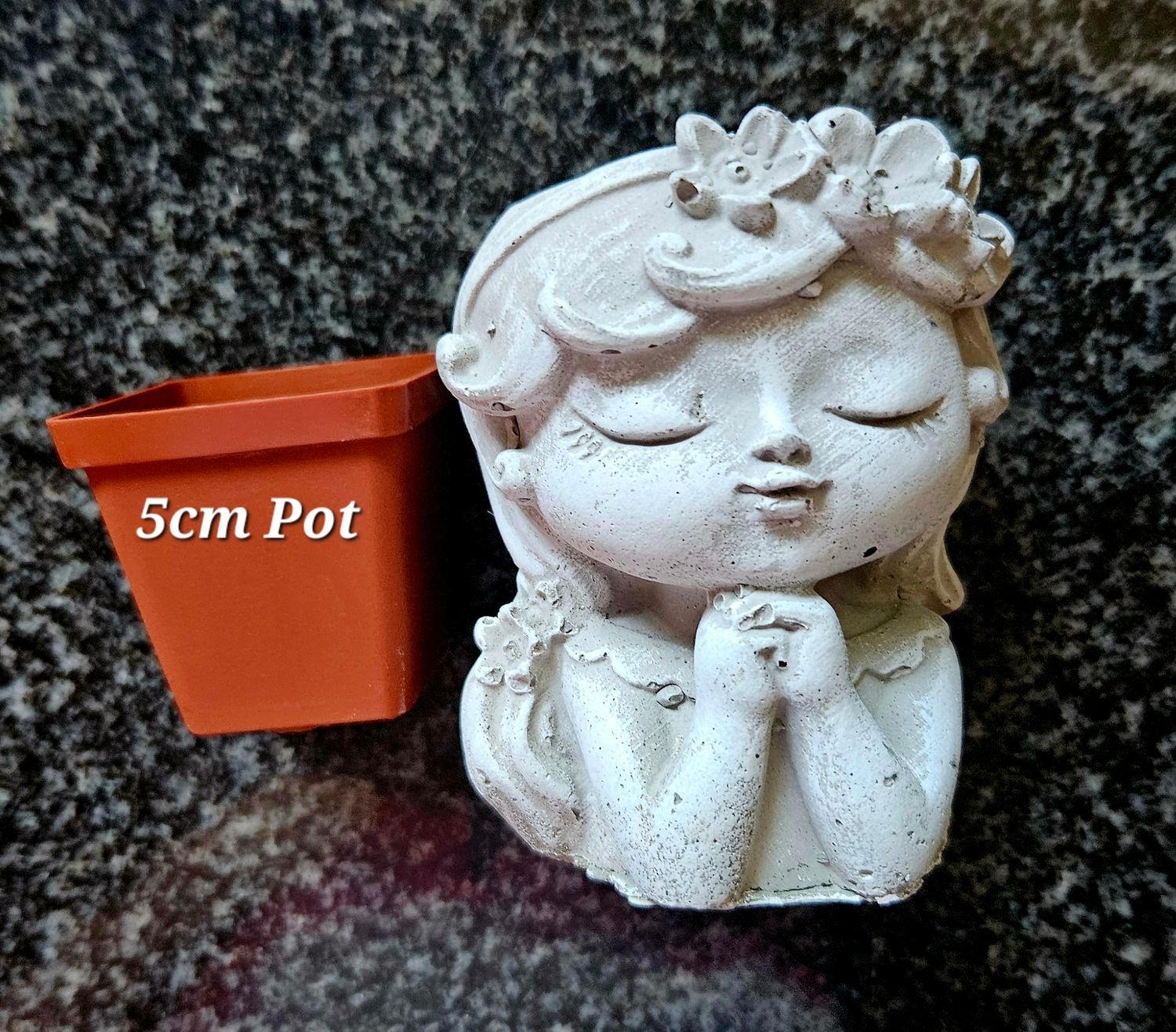 Poppy Head Planter (Small Plant)