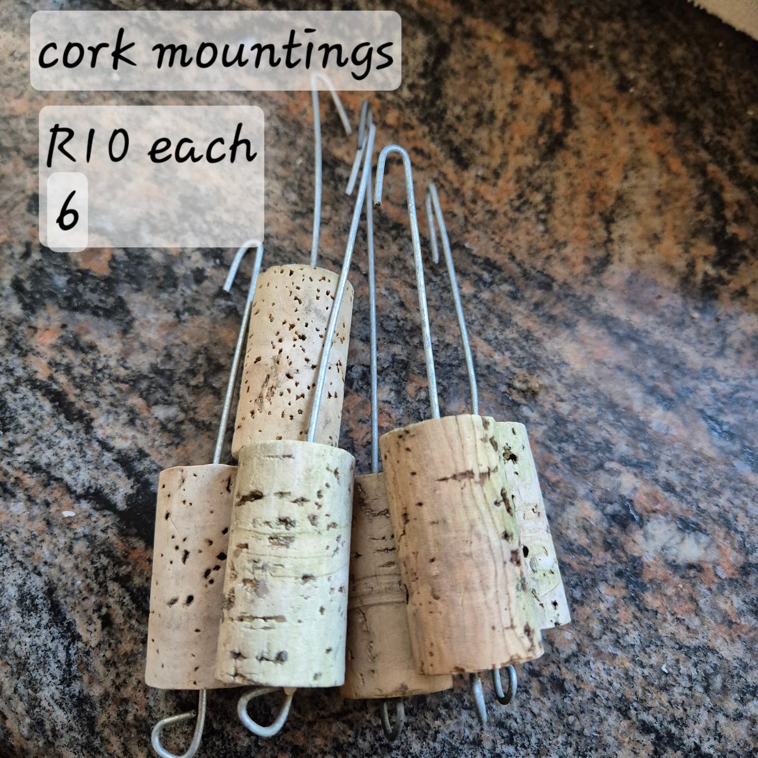 Cork mounting for Tillandsias