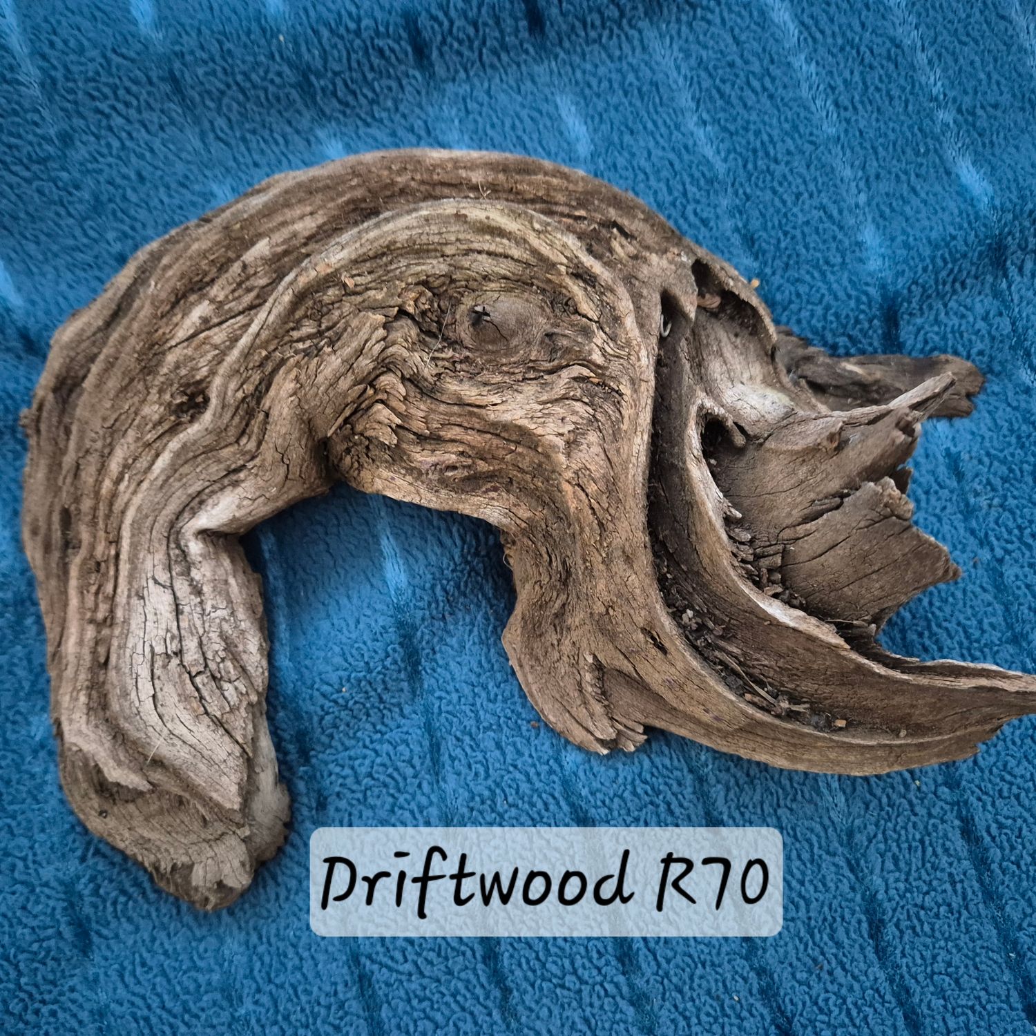Driftwood