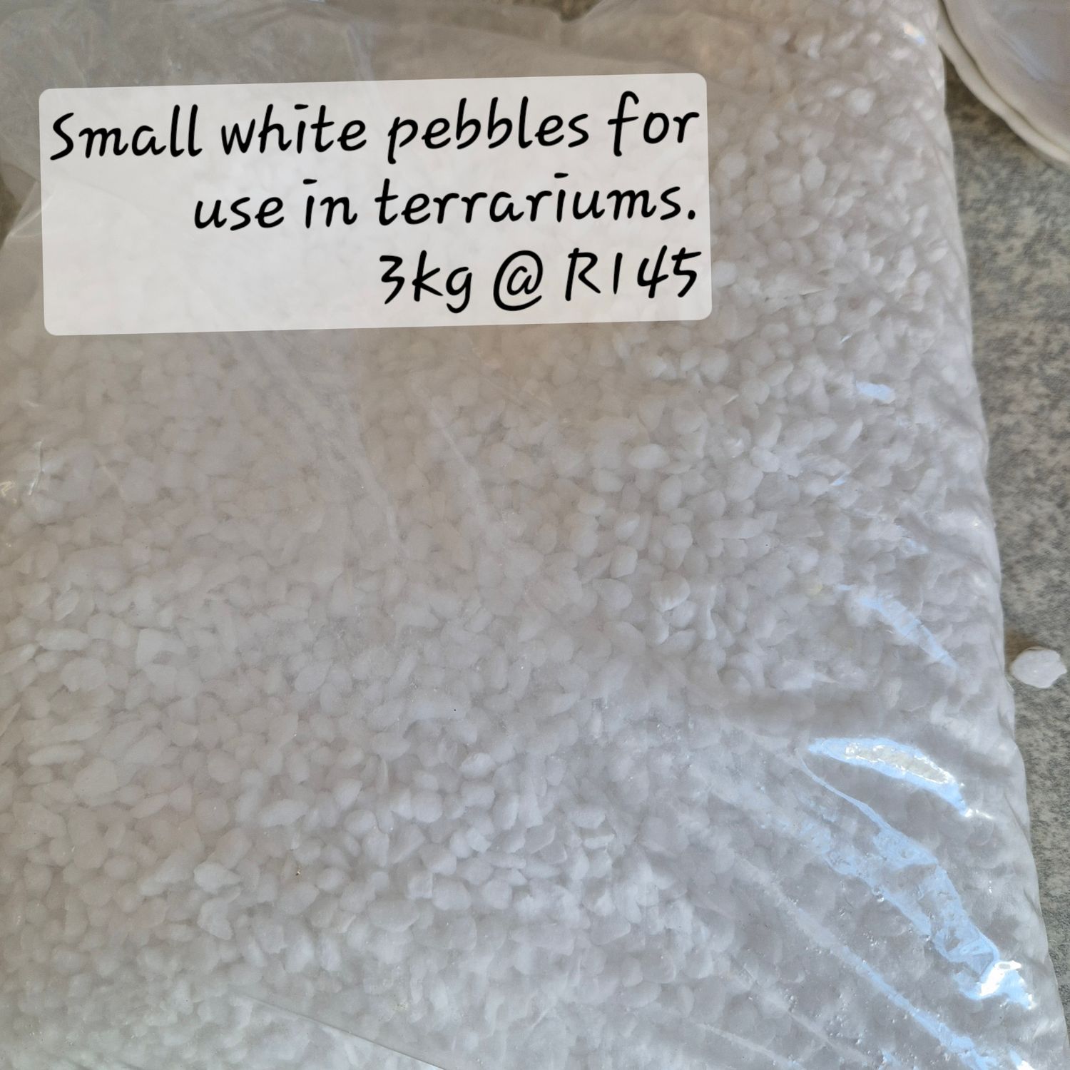 White small pebbles for Terrariums