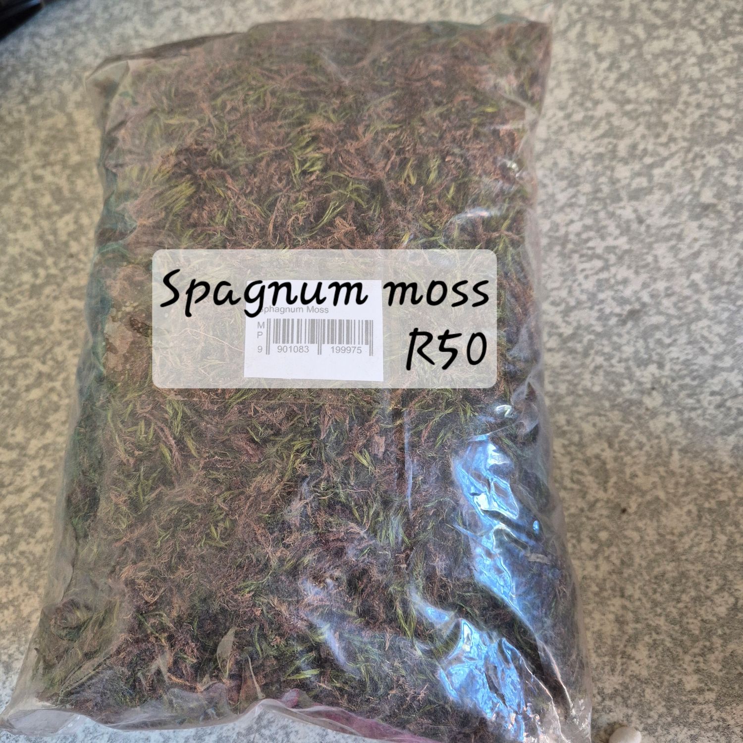 Spagnum moss