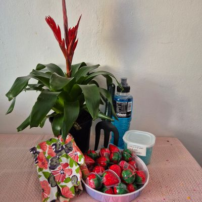 Garden hamper nr 2