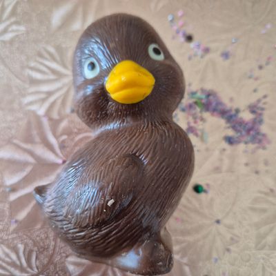 Little duckling