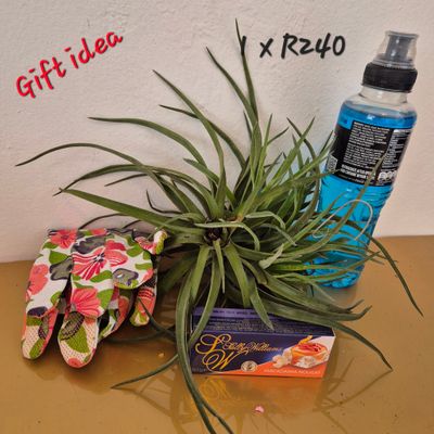Gift to yourself