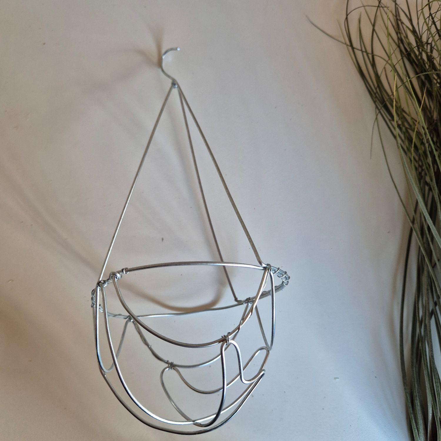 Tillandsia hanging baskets