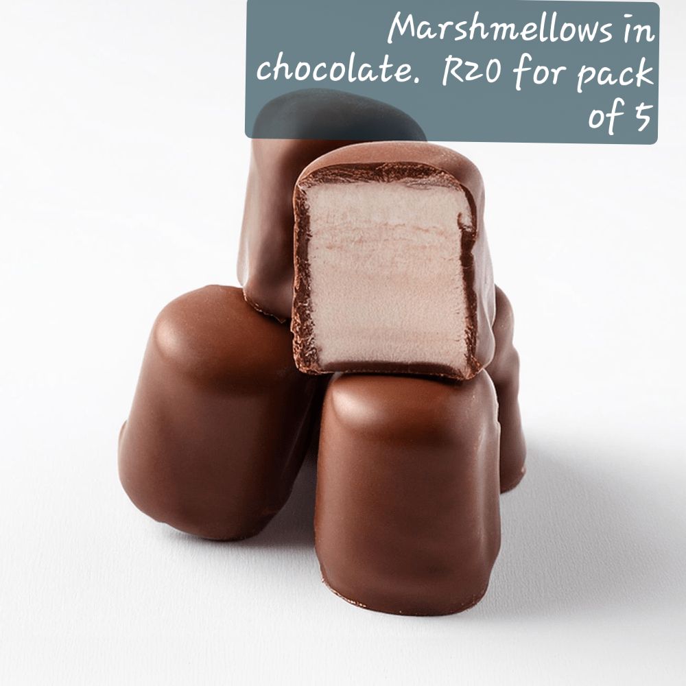 Chocolate coated marshmellows