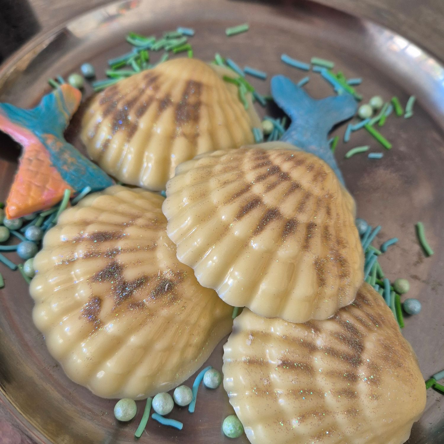 Sea shells