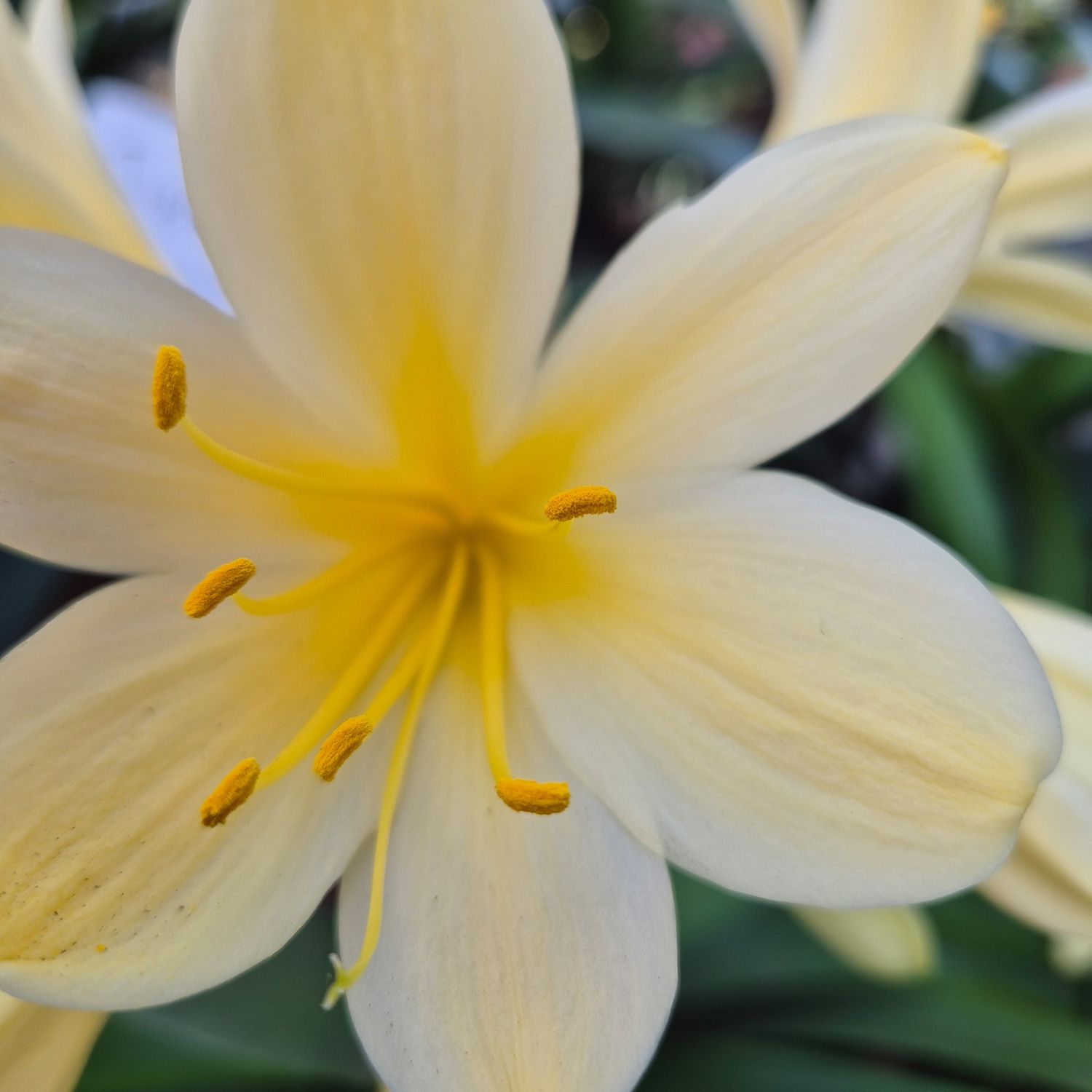 Hottest yellow