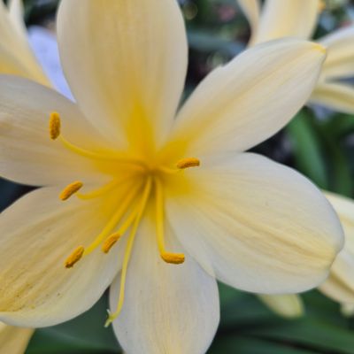 Hottest yellow