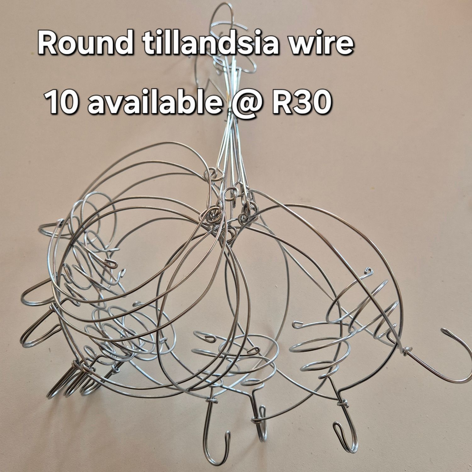 Tillandsia wire circle form