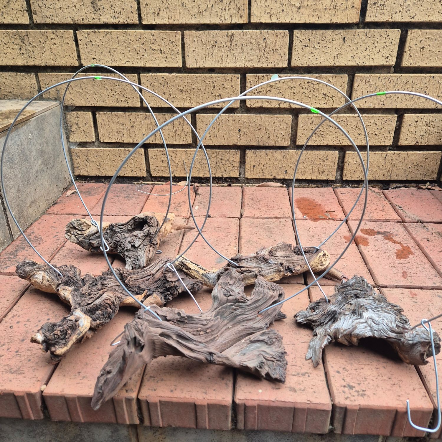 Mopani wood sticks Mopani wood sticks