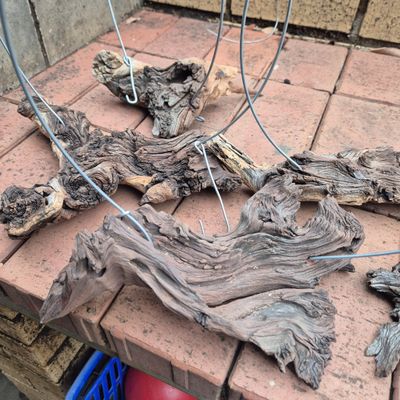 Mopani wood sticks