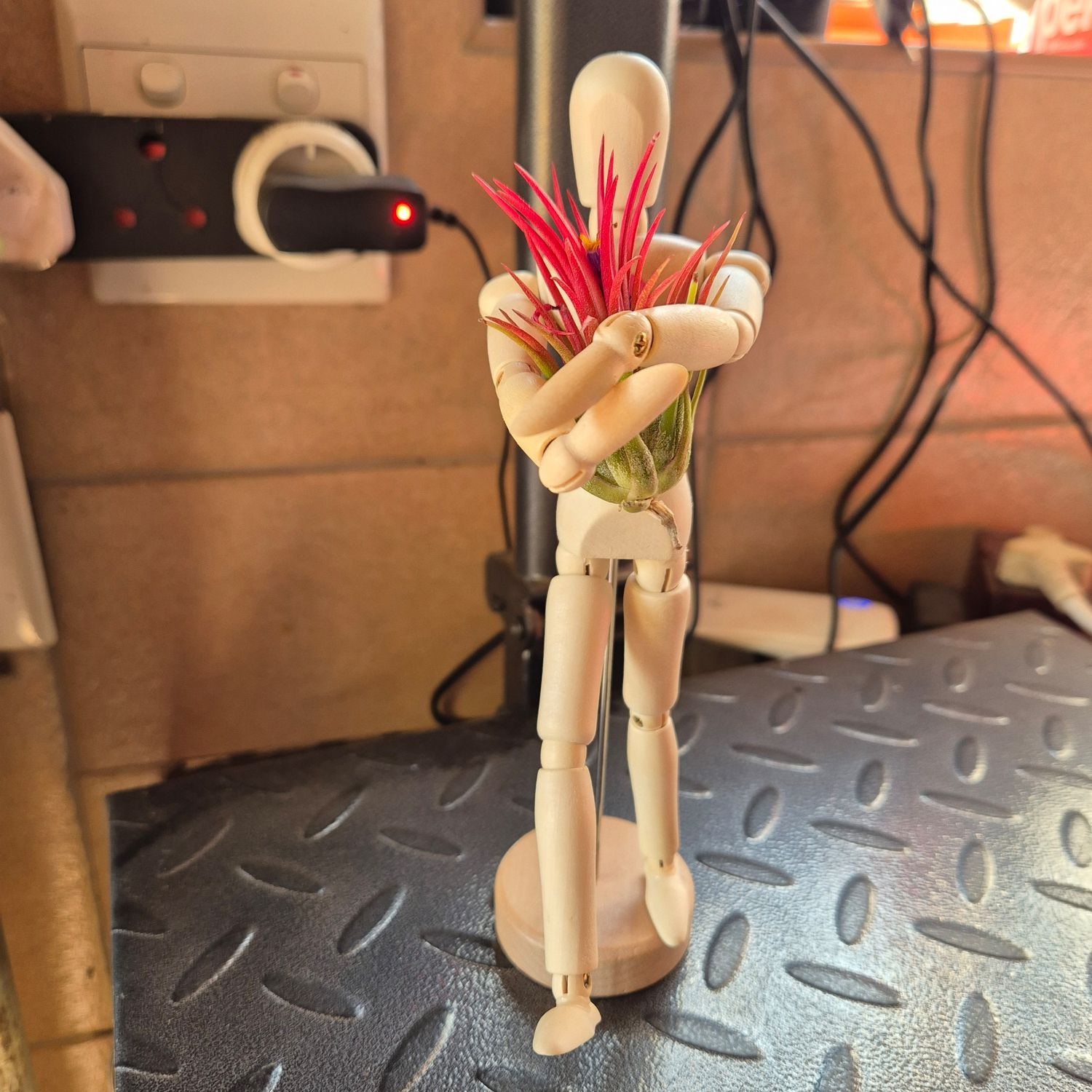 Mannequin with plant