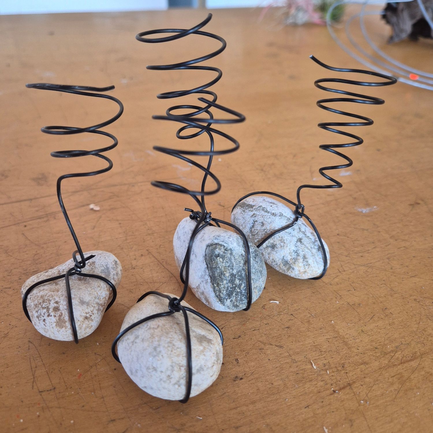 Tillandsia containers on a white stone