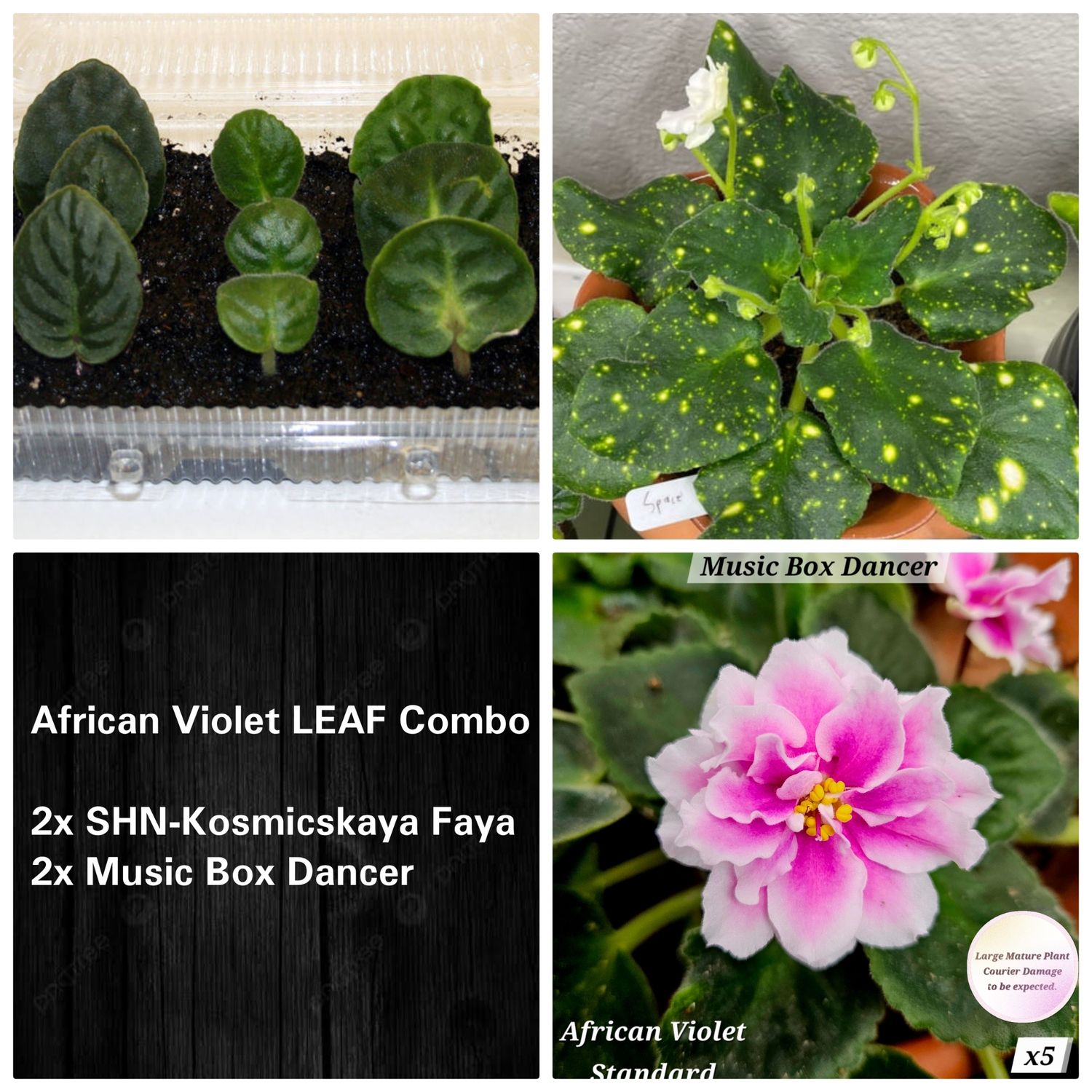 LEAF Combo E LEAF Combo E