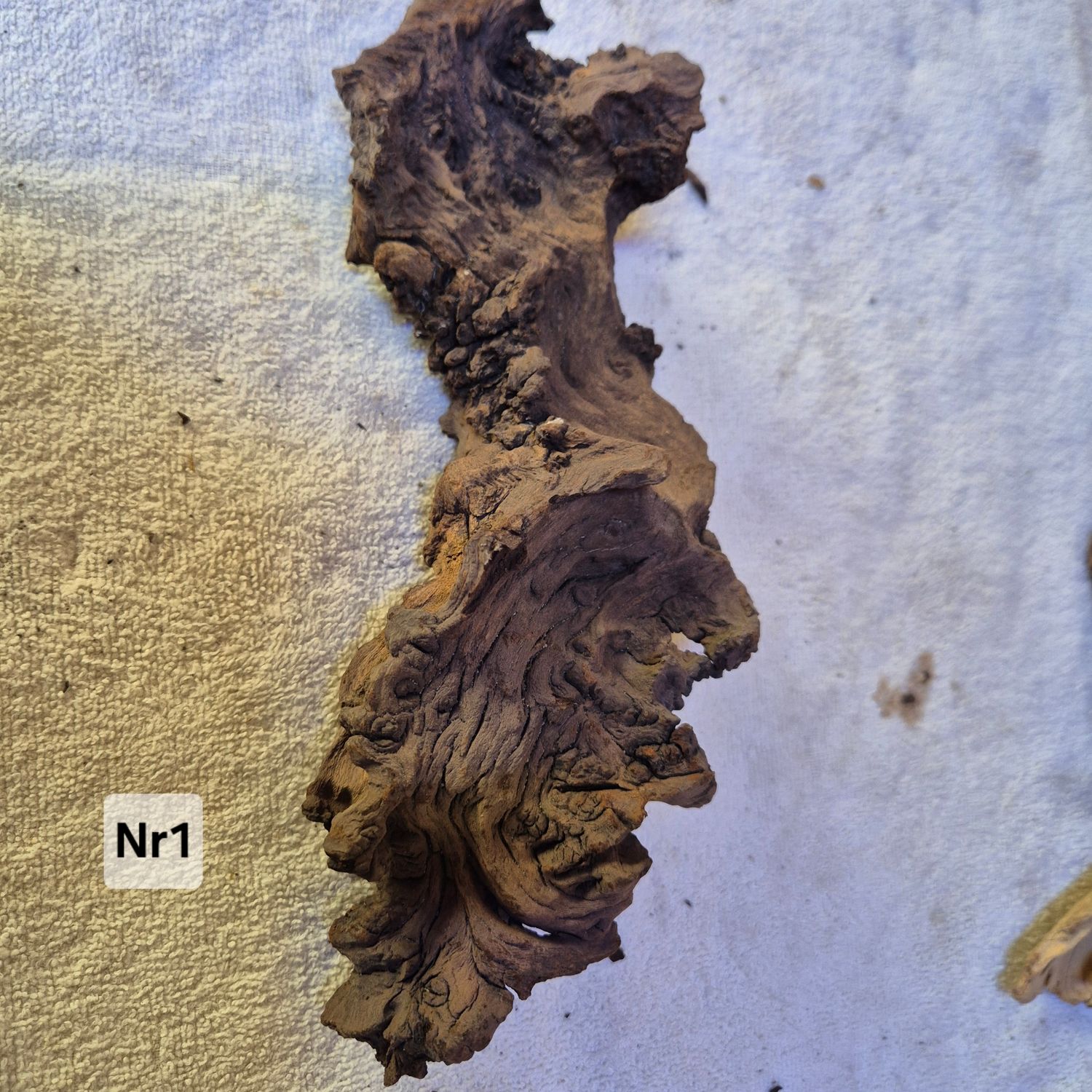 Driftwood nr1 Driftwood nr1