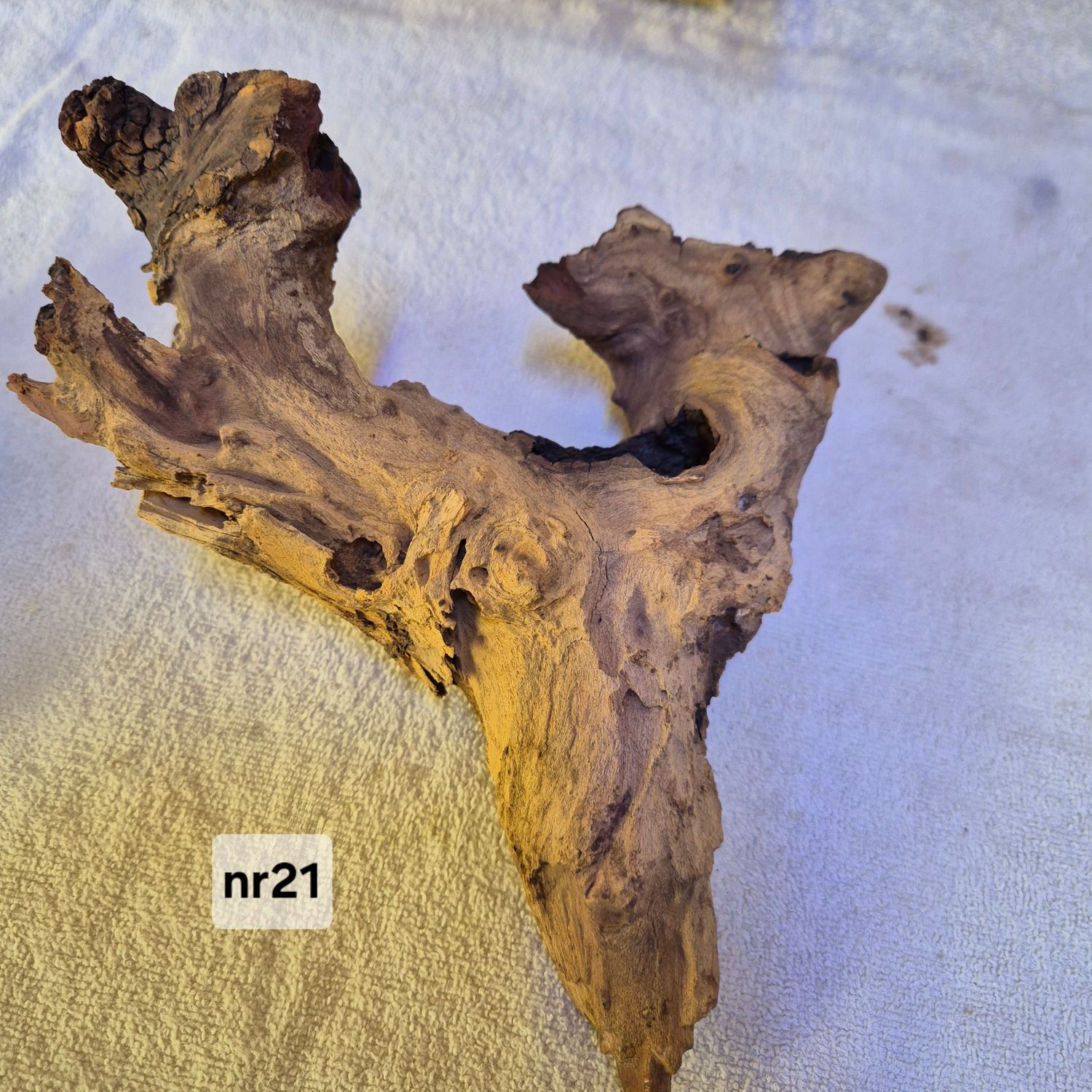 Driftwood nr 21 Driftwood nr 21