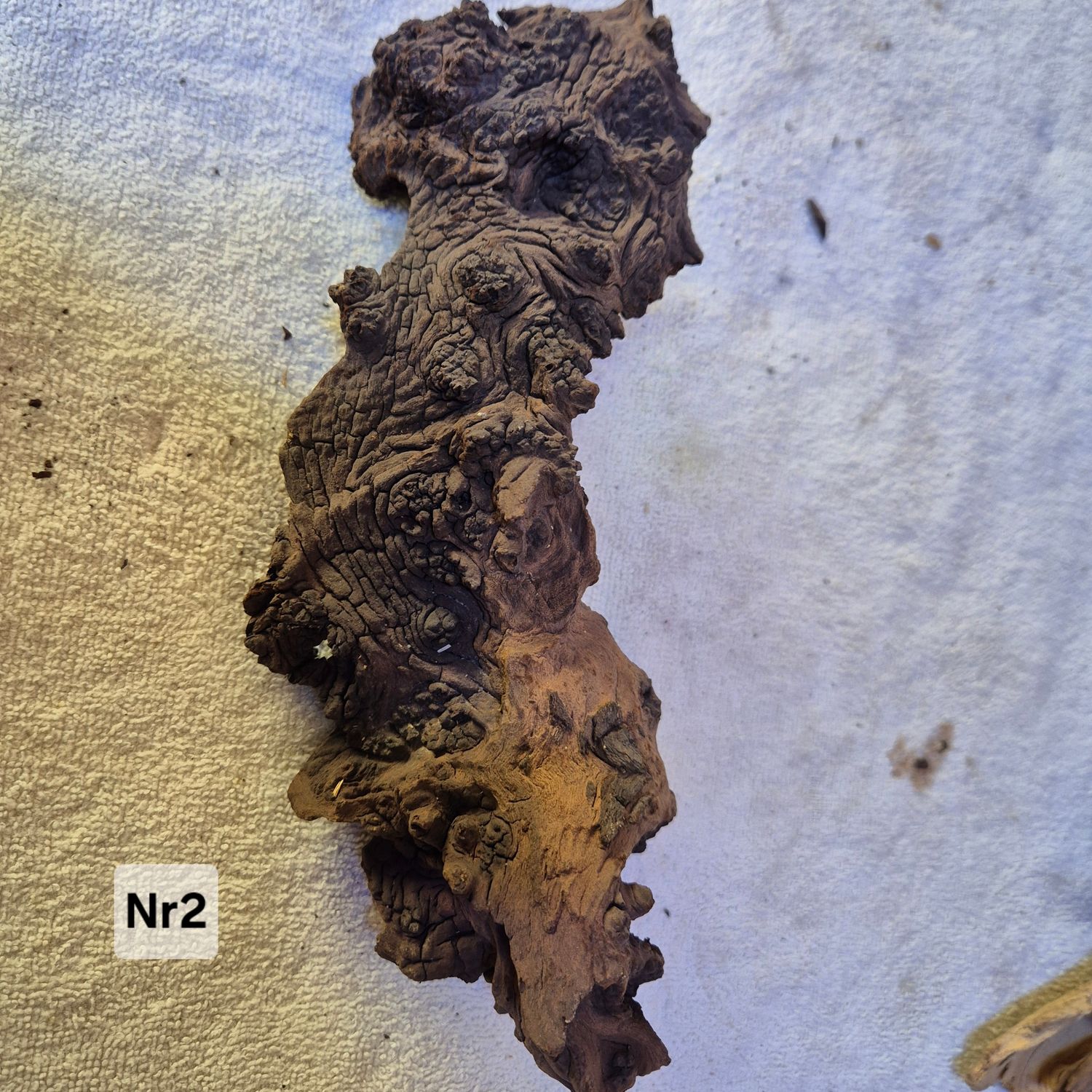 Driftwood nr 2 Driftwood nr 2