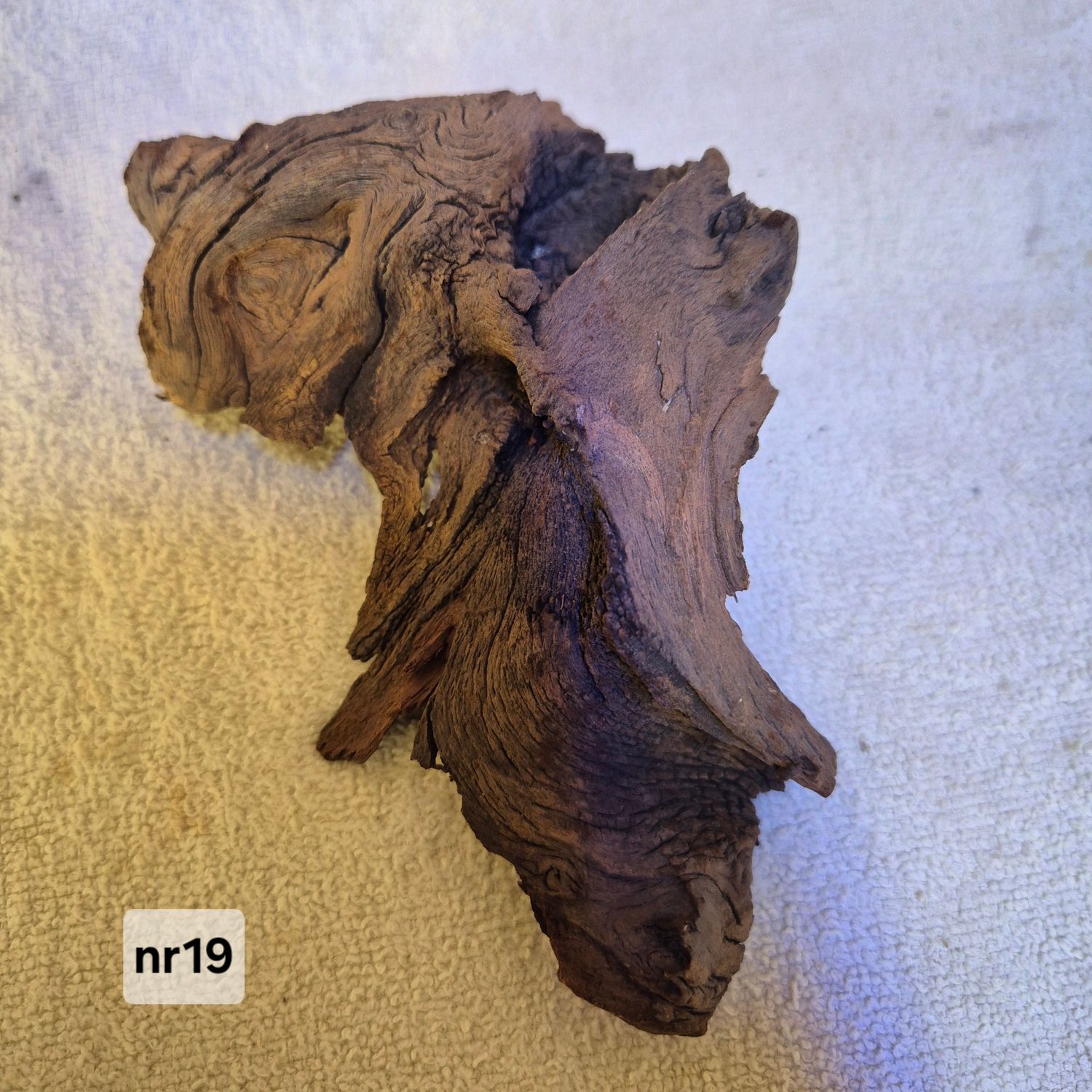 Driftwood nr 10 Driftwood nr 10