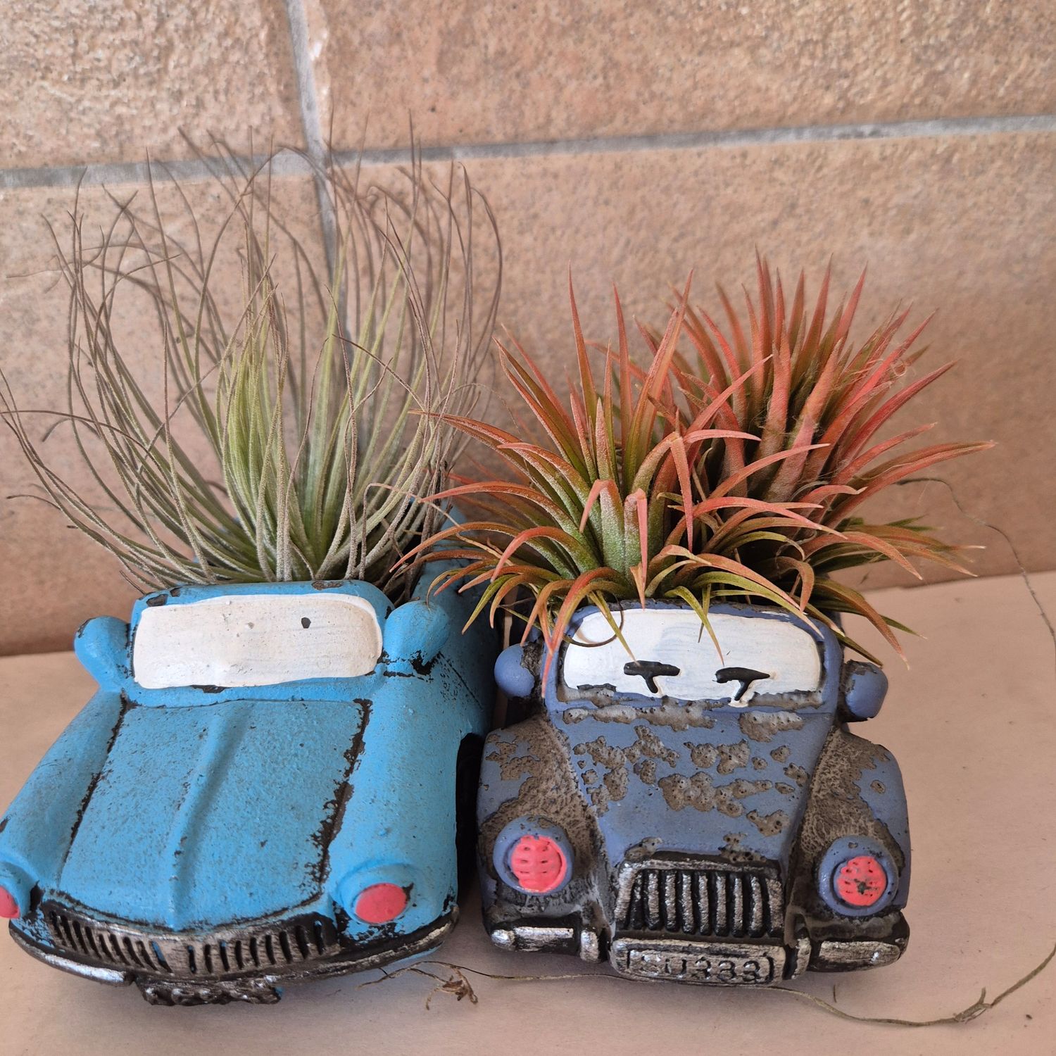 Vintage motor with Tillandsia Vintage motor with Tillandsia