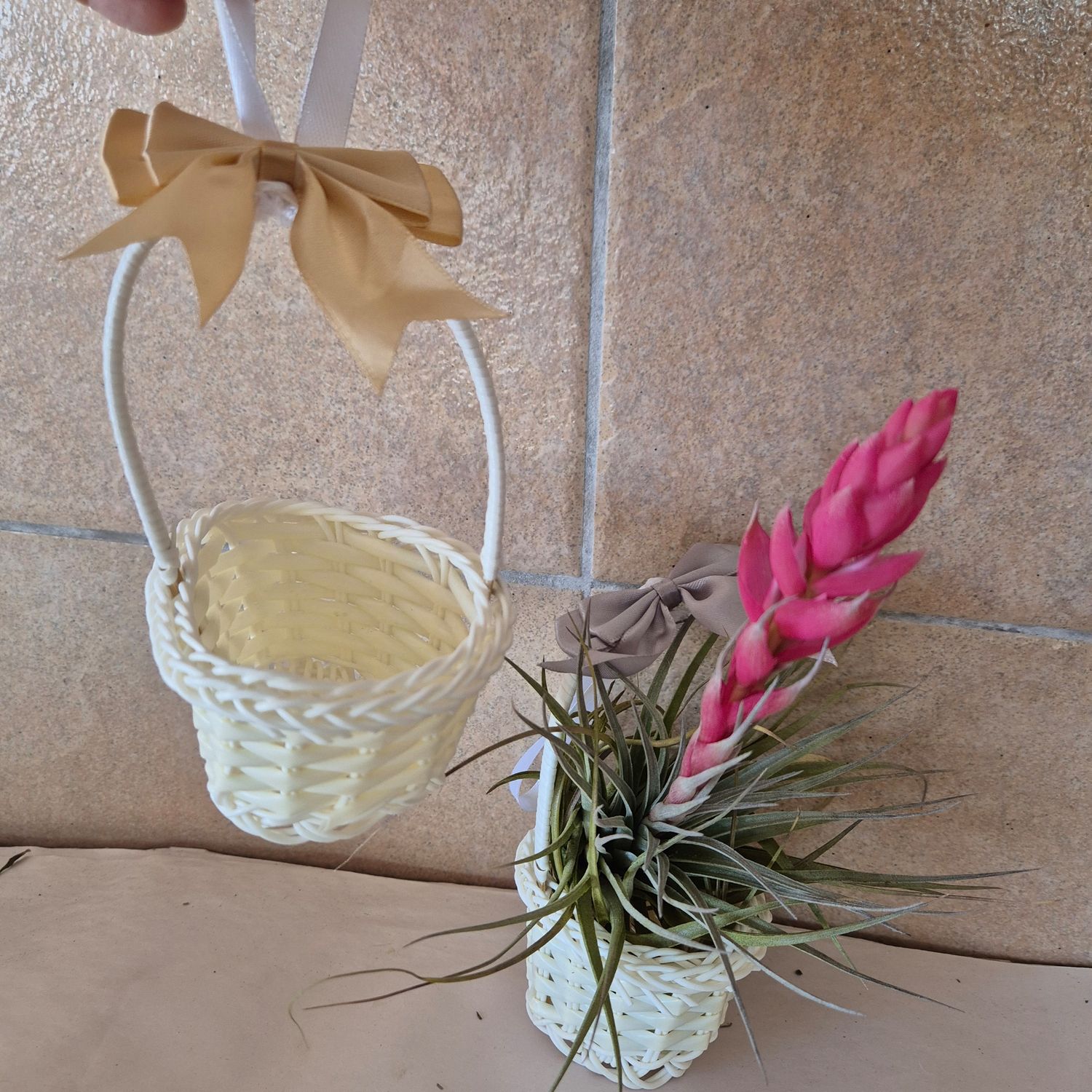 White bamboo Tillandsia mandjie with bow. White bamboo Tillandsia mandjie with bow.