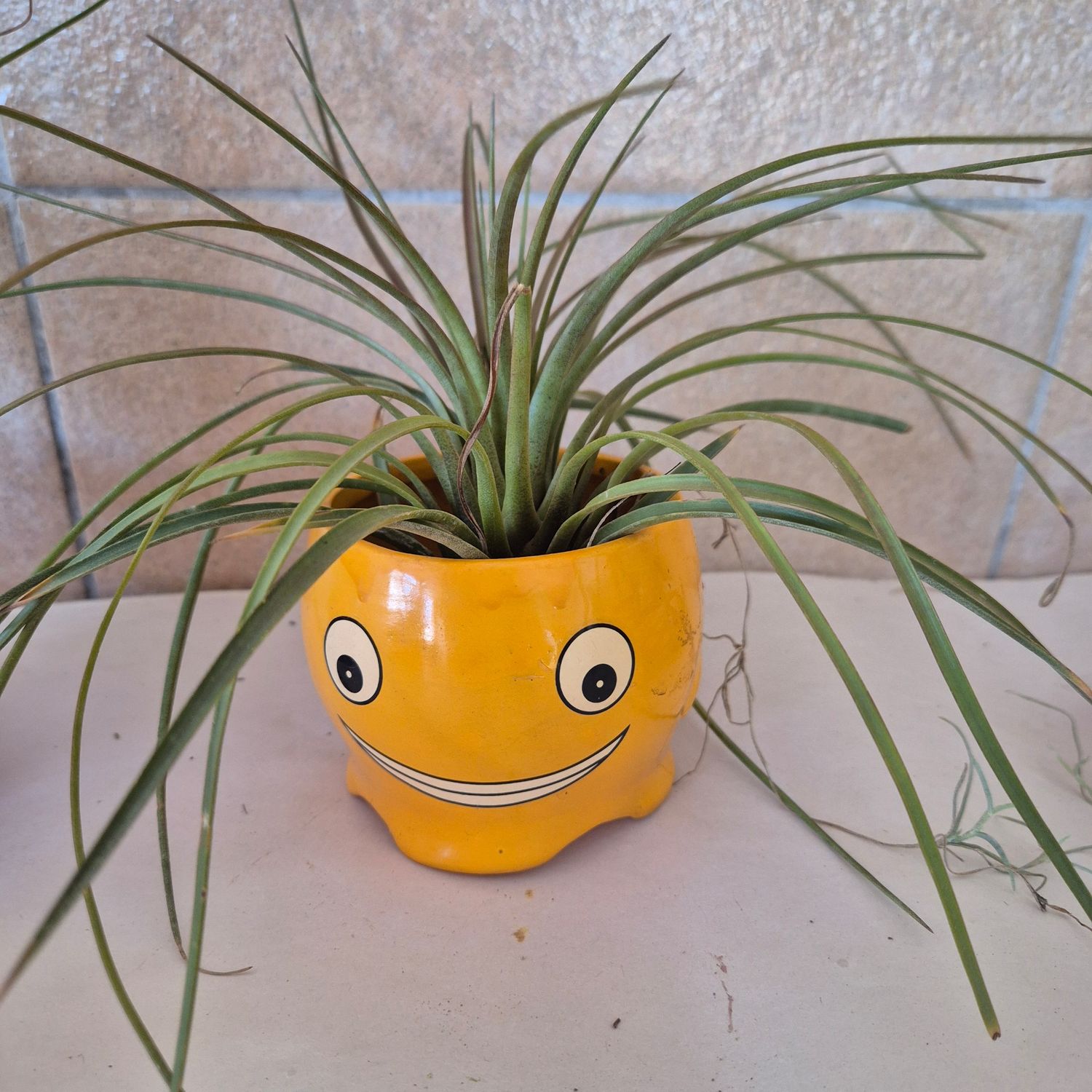 Empty ceramic yellow face Empty ceramic yellow face