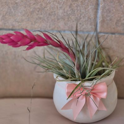 Round ceramic bowl. Round ceramic bowl.