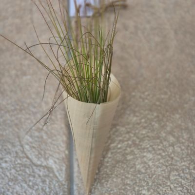 Bamboo cone with Tillandsia Juncsea Bamboo cone with Tillandsia Juncsea