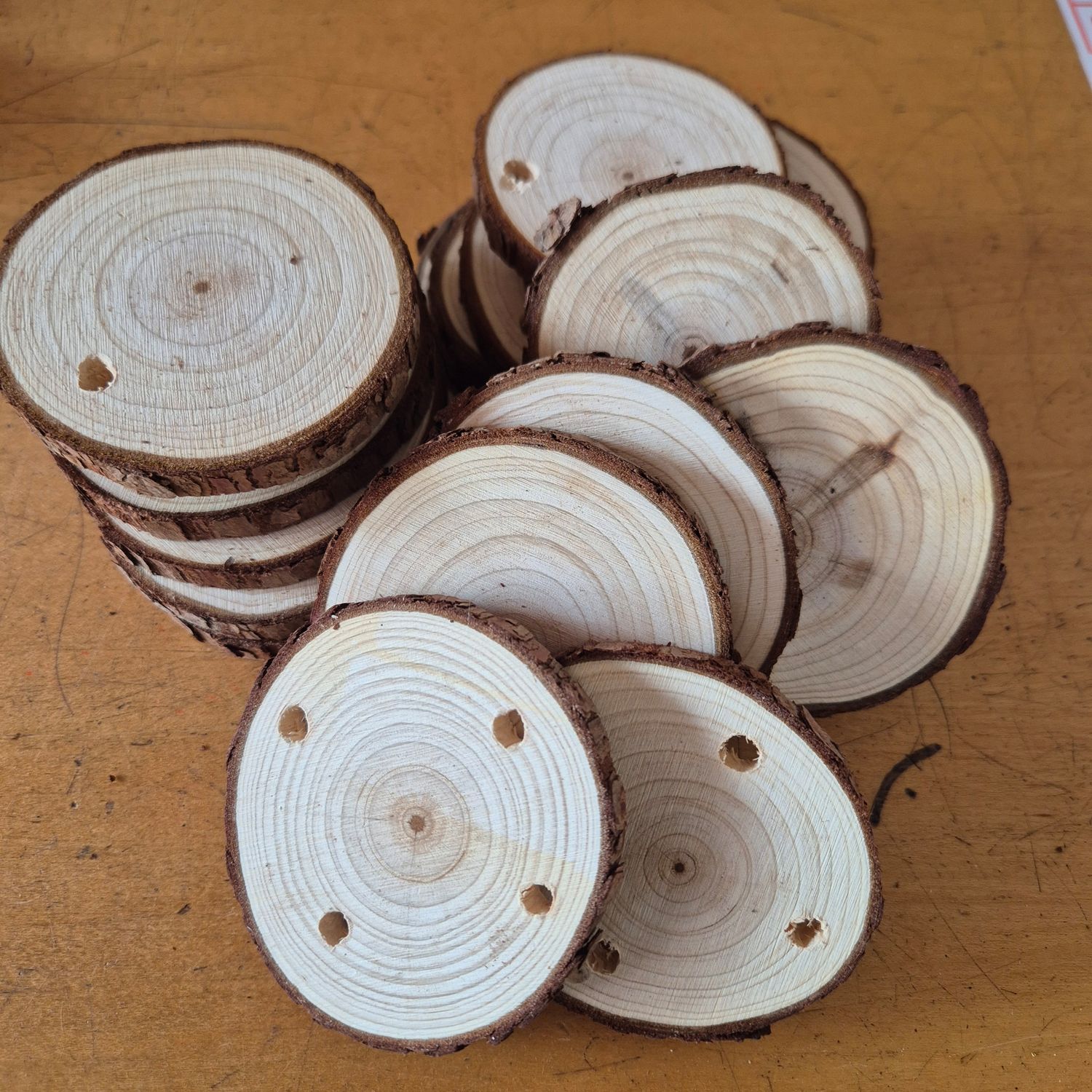 Round wood to mount Tillandsias Round wood to mount Tillandsias
