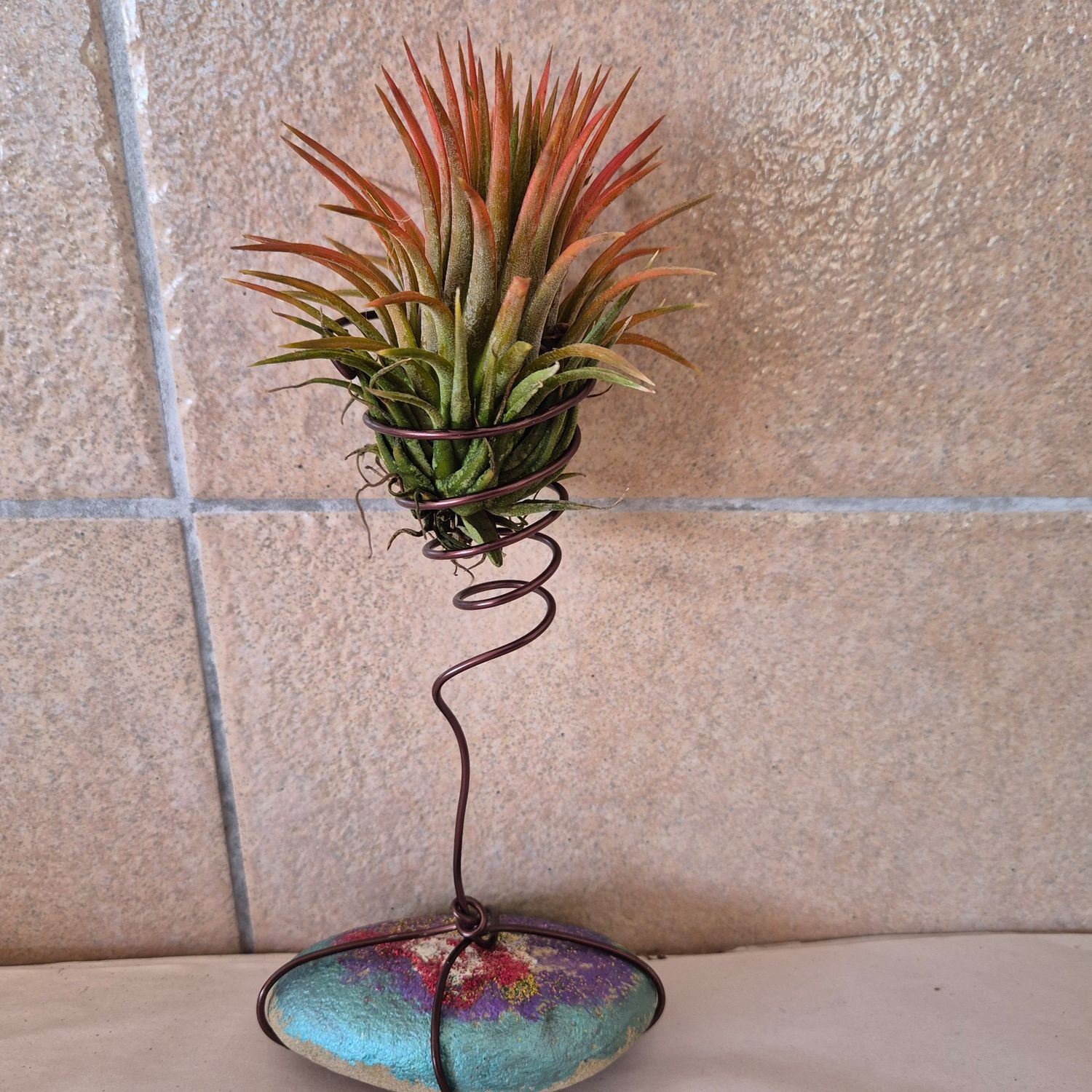 Tillandsia stone container