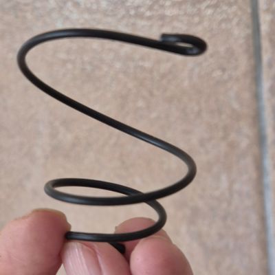 Tillandsia black wire cone