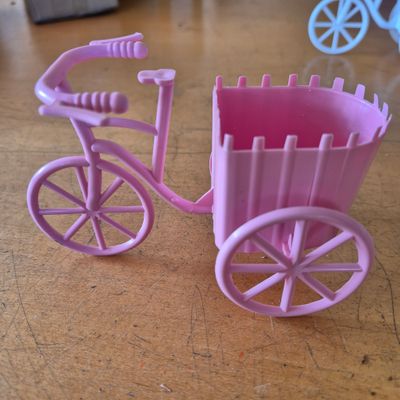 Tillandsia Bicycles container