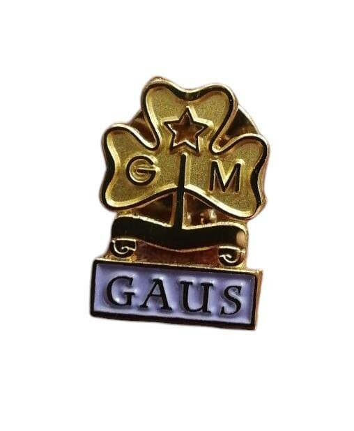 Pin Gaus