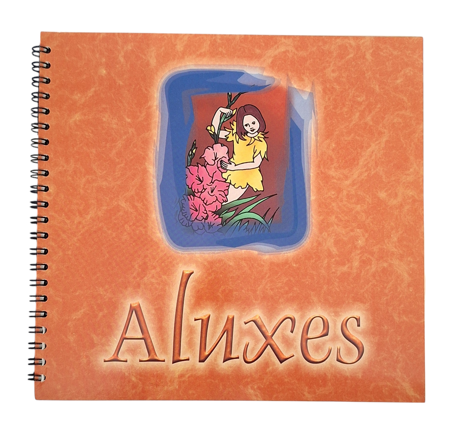 Manual Aluxes
